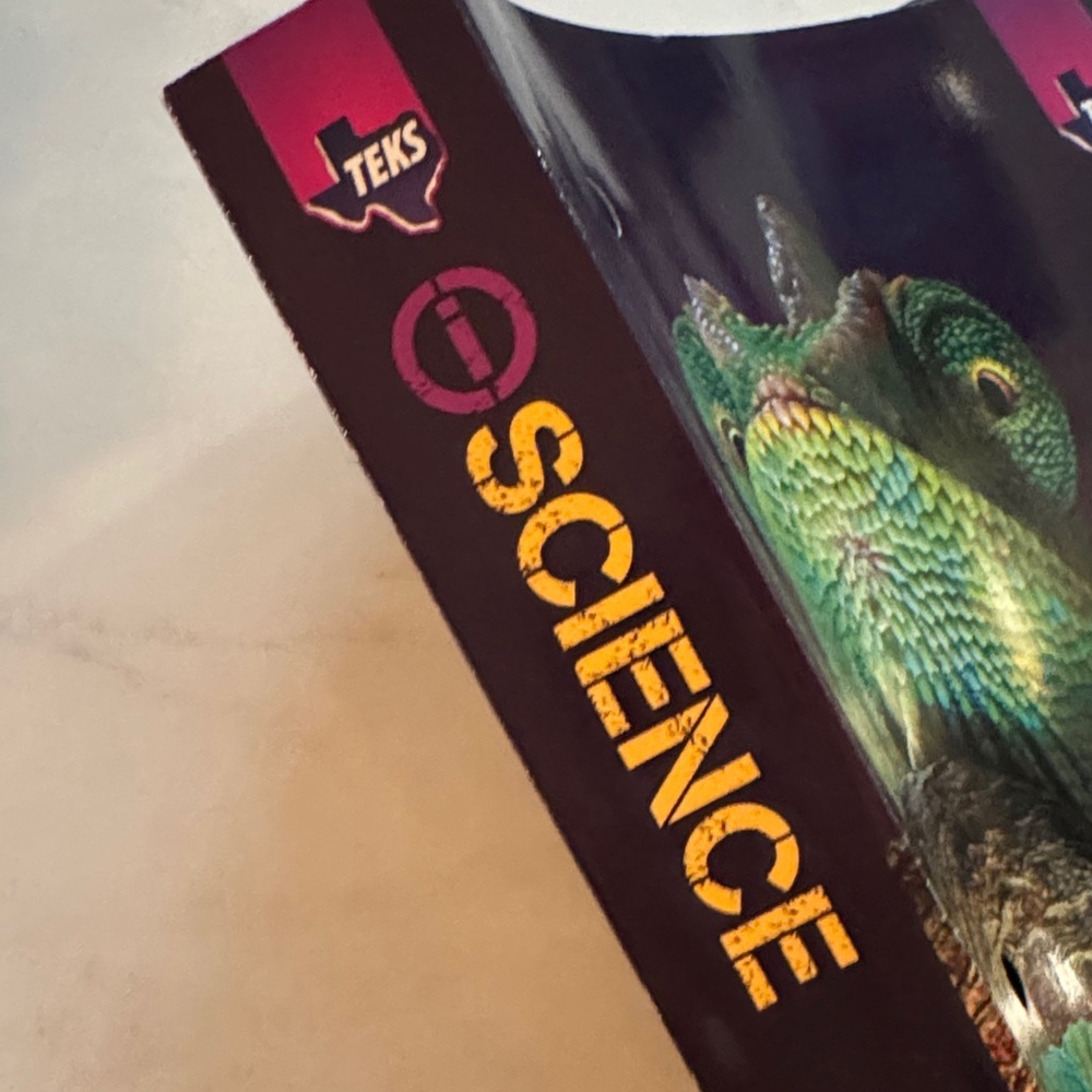 Colorful Chameleon Reptile Book - Picture 4 of 16